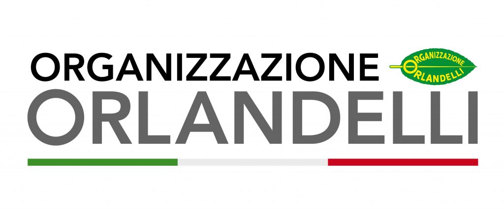 briconight organizzazione orlandelli sponsor